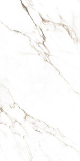 Ocean Ceramic Statuario Castork Pol 80x160H0.9