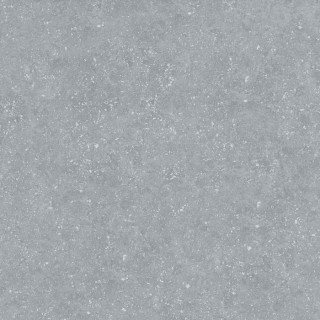 Ocean Ceramic Bluestone Light 20mm 59.7x59.7