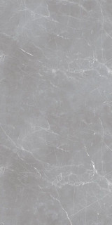 Ocean Ceramic Arion Gray Dark 20mm 59.7x119.7