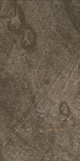 Ocean Ceramic Baron Brown Sugar 60x120