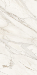 Polo Gres Marble Calacatta Gold 60x120