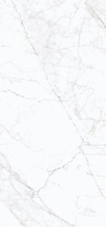 Simpolo Pg Carrara Fogg 3pc 59.8x119.8