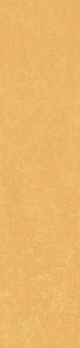 Simpolo Scs Spectra Mustard Glossy 5.8x25