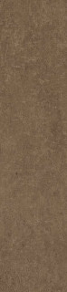 Simpolo Scs Spectra Cumin Glossy 5.8x25