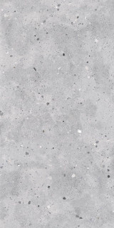 Staro Fenix Fossil Sugar 60x120H0.8