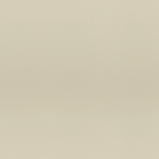 Staro Fullbody Ivory Polished 60x60