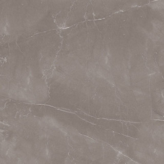 Staro Oasis Armani Gris Polished 60x60