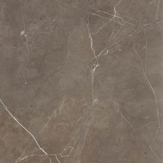 Staro Oasis Detroit Brown Polished 60x60