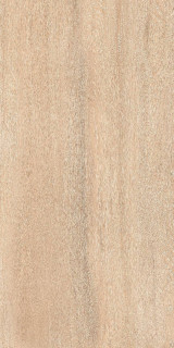 Staro Foresta Amazon Wood Beige Matt 60x120H0.8