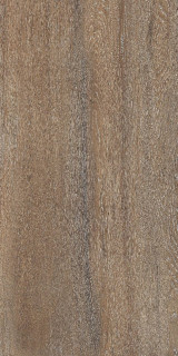 Staro Foresta Amazon Wood Natural Matt 60x120H0.8
