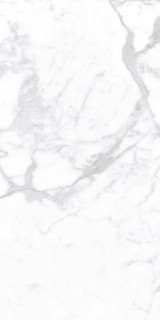 Staro Palacio Proven Polished 60x120