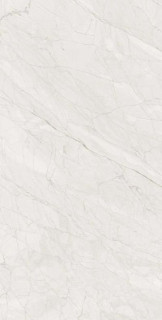 Staro Palacio Marbella Grey Polished 60x120