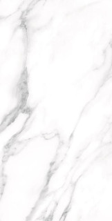 Staro Palacio Majestic White Polished 60x120