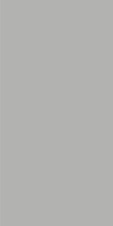 StaroSlabs Matt Mono Grey Matt 12mm 160x320H1.2