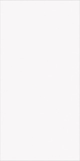 StaroSlabs Matt Mono White Honed 12mm 160x320H1.2