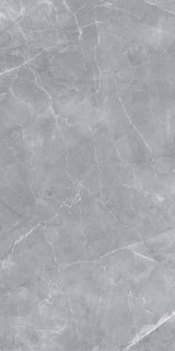 Staro Silk Gilio Matt 60x120