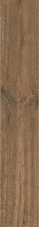 Starowood Forest Hazelnut Matt 20x120