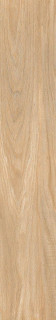 Starowood Forest Bamboo Matt 20x120