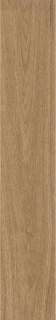 Starowood Forest Palm Matt 20x120