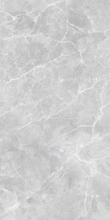 Velsaa Selection Grigo Grey 60x120H0.85