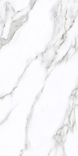 Velsaa Statuario Eva 60x120H0.9