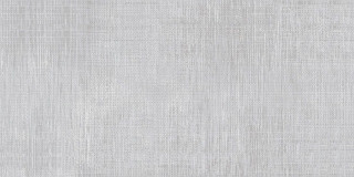 Alborz Ceramic Danhill Cheetah Rect 30x60