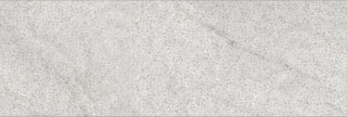 Alborz Ceramic Cheetah Pietra Dark Mat 30x90