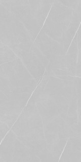 Eurotile Ceramica 502 Pietra Gray Pol 80x160