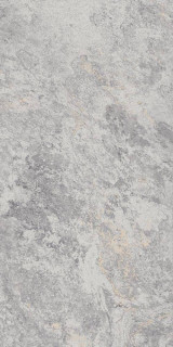 Eurotile Ceramica 795 Image Silver 60x120
