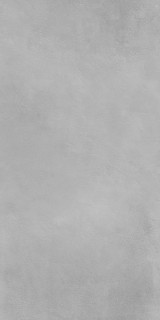 Eurotile Ceramica Millennium 403 120x240