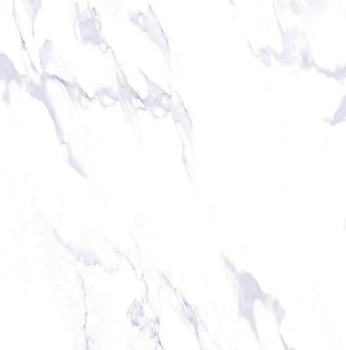 RAK Indus Statuario Matt 60x60