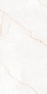 Pars Tile Delvin Mat 60x120