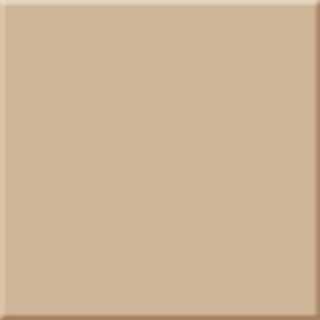 Absolut Keramika Beige Milano Brillo 10х10