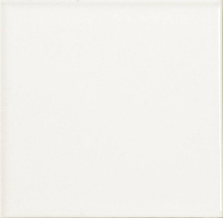 Absolut Keramika Liso Brillo Blanco 20x20