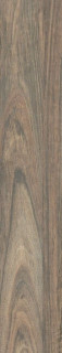 Absolut Keramika Trinidad B 20x114