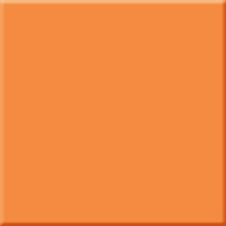 Absolut Keramika Naranja Milano Brillo 10х10