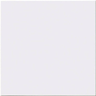Absolut Keramika Liso Mate Blanco 20x20