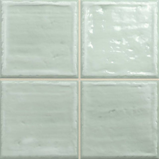 Absolut Keramika Noa Fern Brillo 20x20