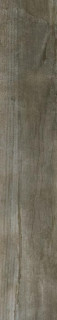 Absolut Keramikas Woods Barbados O 20x114