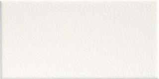 Adex Modernista Liso PB Marfil 20х10