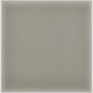 Adex Riviera Liso Mundaka Gray 10х10