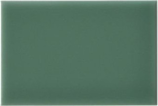 Adex Riviera Liso Rimini Green 15х10