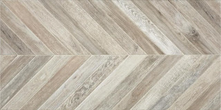 Alaplana Altair Gris Mate 50х100