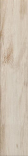 Alaplana Goa Natural Ret. 23x120
