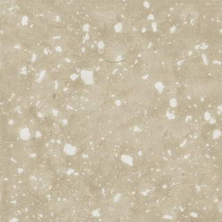 Aparici Petri Beige Natural 59,55x59,55