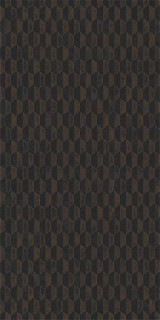 Aparici Steel Black Stamping Natural 50x100H1
