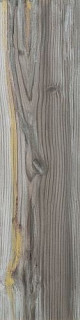 Apavisa 4ever Echo Gold Natural 25x100
