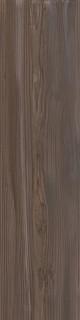 Apavisa 4ever Echo Brown Natural 25x100