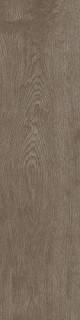 Apavisa 4ever Arco Brown Natural 25x100