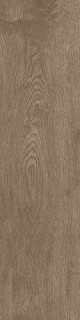Apavisa 4ever Arco Maple Natural Nonslip 25x100